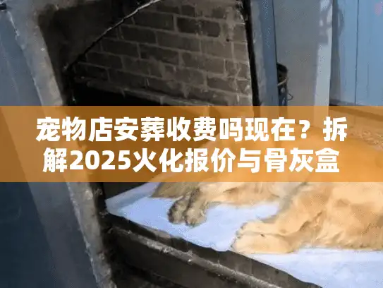 宠物店安葬收费吗现在？拆解2025火化报价与骨灰盒隐形成本