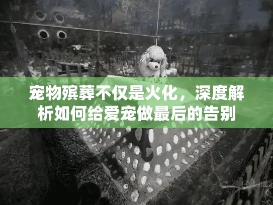 宠物殡葬不仅是火化，深度解析如何给爱宠做最后的告别