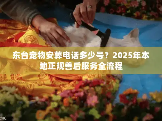 东台宠物安葬电话多少号？2025年本地正规善后服务全流程