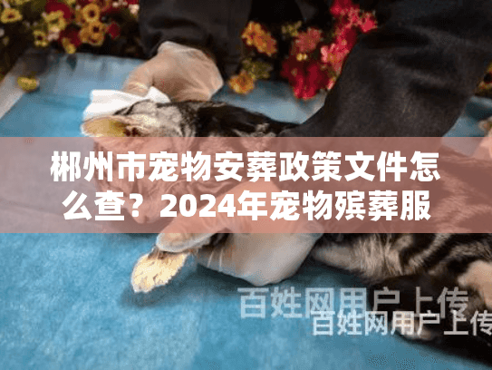 郴州市宠物安葬政策文件怎么查?2024年宠物殡葬服务合规实操 郴州市宠物安葬政策文件怎么查?2024年宠物殡葬服务合规实操