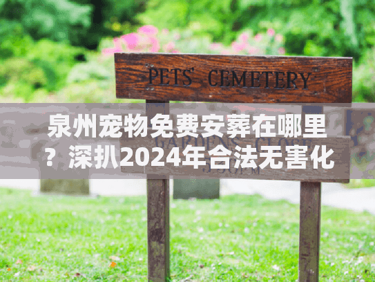 泉州宠物免费安葬在哪里？深扒2024年合法无害化处理渠道