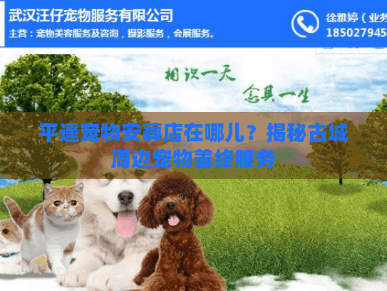 平遥宠物安葬店在哪儿？揭秘古城周边宠物善终服务