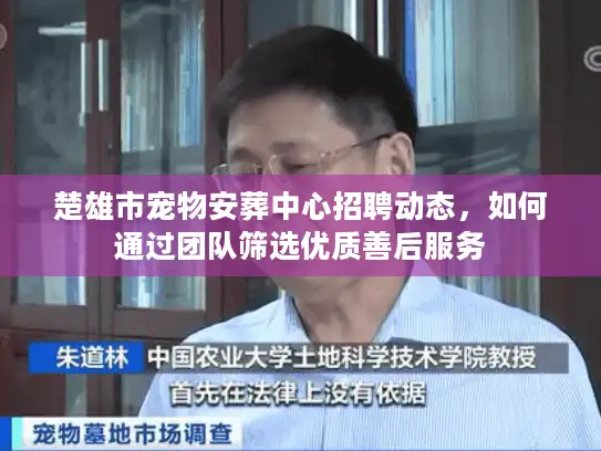 楚雄市宠物安葬中心招聘动态，如何通过团队筛选优质善后服务