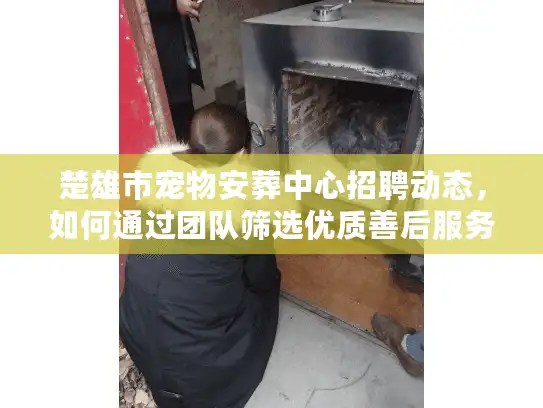 楚雄市宠物安葬中心招聘动态，如何通过团队筛选优质善后服务
