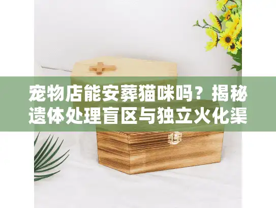宠物店能安葬猫咪吗？揭秘遗体处理盲区与独立火化渠道
