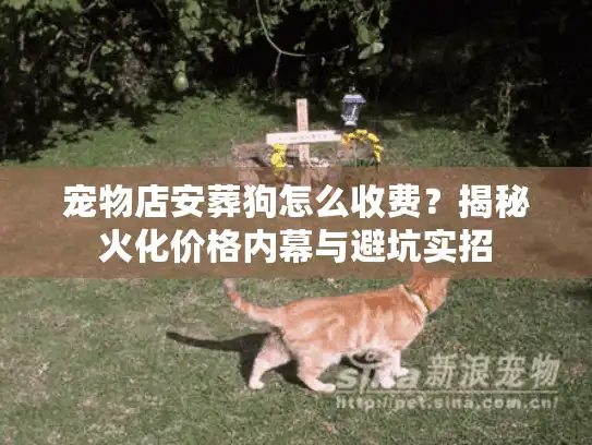 宠物店安葬狗怎么收费？揭秘火化价格内幕与避坑实招