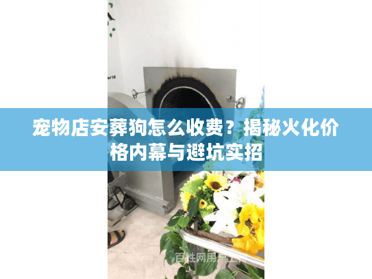 宠物店安葬狗怎么收费？揭秘火化价格内幕与避坑实招