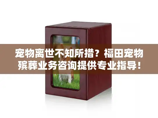 宠物离世不知所措？福田宠物殡葬业务咨询提供专业指导！