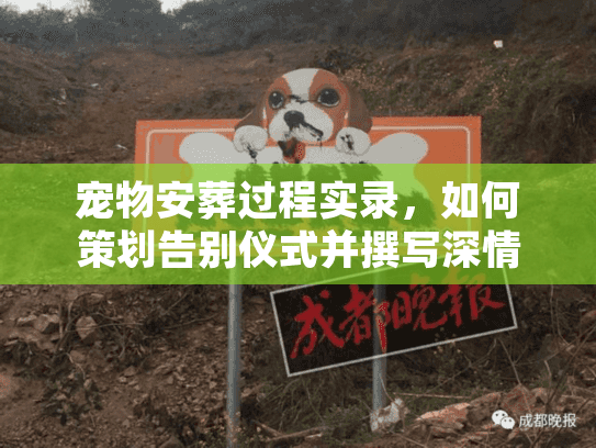 宠物安葬过程实录，如何策划告别仪式并撰写深情悼念词？