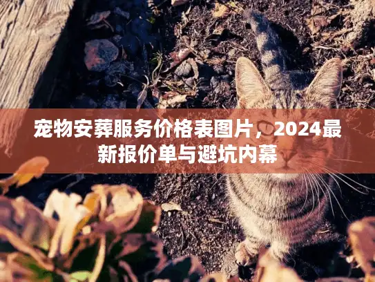 宠物安葬服务价格表图片，2024最新报价单与避坑内幕