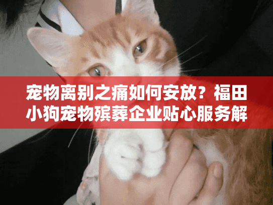 宠物离别之痛如何安放？福田小狗宠物殡葬企业贴心服务解析
