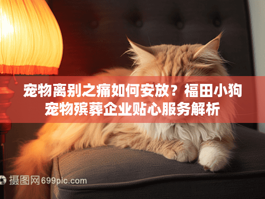 宠物离别之痛如何安放？福田小狗宠物殡葬企业贴心服务解析