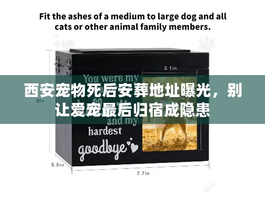 西安宠物死后安葬地址曝光,别让爱宠最后归宿成隐患 西安宠物死后安葬地址曝光,别让爱宠最后归宿成隐患