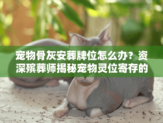 宠物骨灰安葬牌位怎么办？资深殡葬师揭秘宠物灵位寄存的真实门道