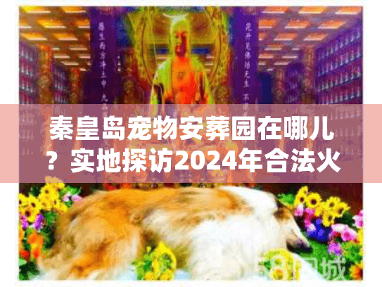 秦皇岛宠物安葬园在哪儿？实地探访2024年合法火化点与避坑门道