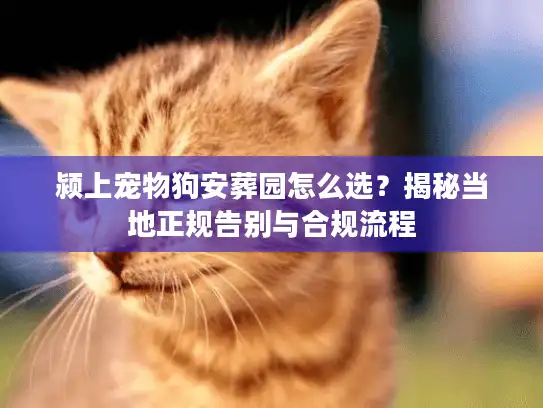 颍上宠物狗安葬园怎么选？揭秘当地正规告别与合规流程