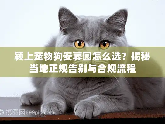 颍上宠物狗安葬园怎么选？揭秘当地正规告别与合规流程