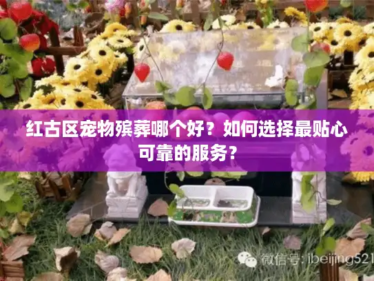 红古区宠物殡葬哪个好?如何选择最贴心可靠的服务? 红古区宠物殡葬哪个好?如何选择最贴心可靠的服务?