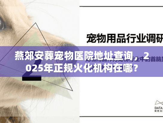 燕郊安葬宠物医院地址查询，2025年正规火化机构在哪？