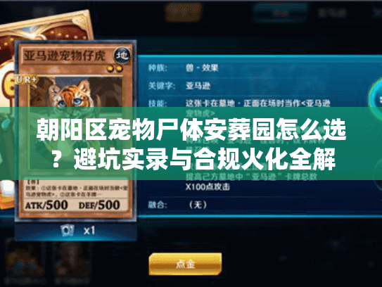 朝阳区宠物尸体安葬园怎么选？避坑实录与合规火化全解