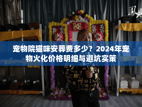 宠物院猫咪安葬费多少？2024年宠物火化价格明细与避坑实策