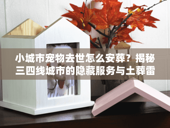 小城市宠物去世怎么安葬？揭秘三四线城市的隐藏服务与土葬雷区