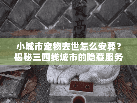 小城市宠物去世怎么安葬？揭秘三四线城市的隐藏服务与土葬雷区