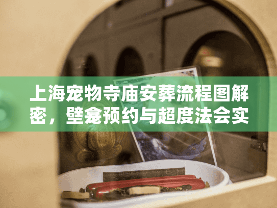 上海宠物寺庙安葬流程图解密，壁龛预约与超度法会实操