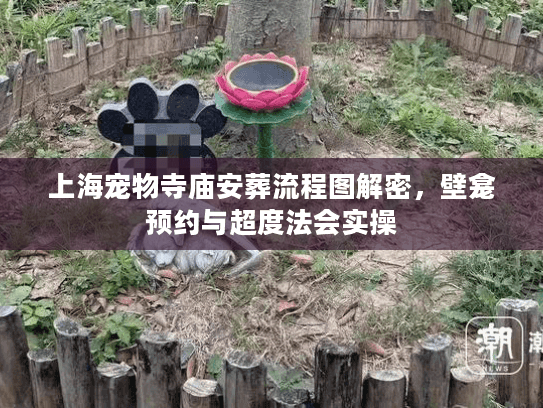上海宠物寺庙安葬流程图解密，壁龛预约与超度法会实操