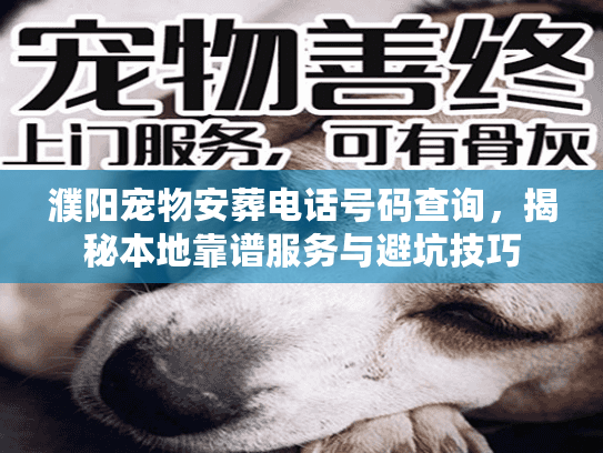 濮阳宠物安葬电话号码查询,揭秘本地靠谱服务与避坑技巧 濮阳宠物安葬电话号码查询,揭秘本地靠谱服务与避坑技巧