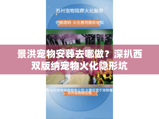 景洪宠物安葬去哪做？深扒西双版纳宠物火化隐形坑