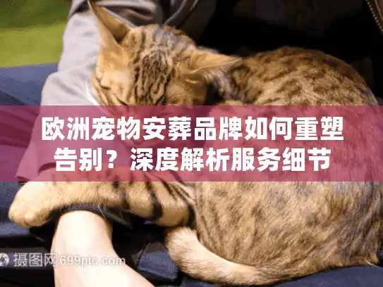 欧洲宠物安葬品牌如何重塑告别？深度解析服务细节