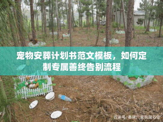 宠物安葬计划书范文模板，如何定制专属善终告别流程