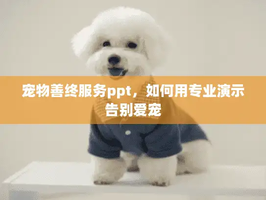 宠物善终服务ppt，如何用专业演示告别爱宠