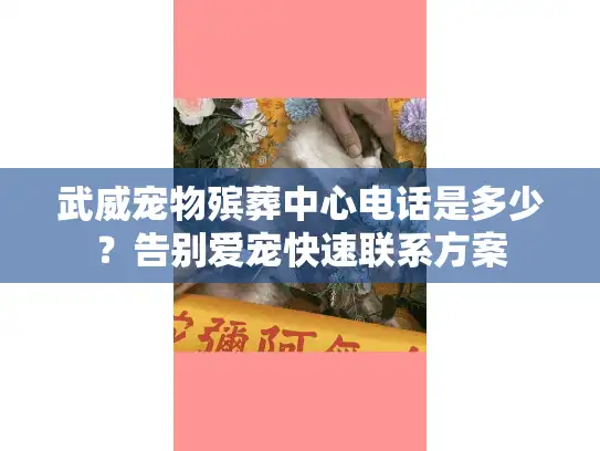 武威宠物殡葬中心电话是多少？告别爱宠快速联系方案