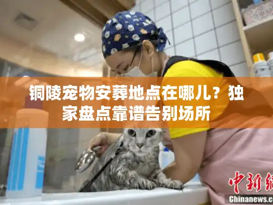 铜陵宠物安葬地点在哪儿?独家盘点靠谱告别场所 铜陵宠物安葬地点在哪儿?独家盘点靠谱告别场所