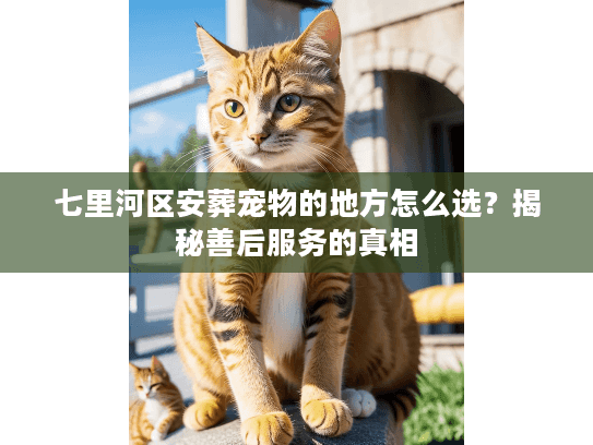 七里河区安葬宠物的地方怎么选？揭秘善后服务的真相