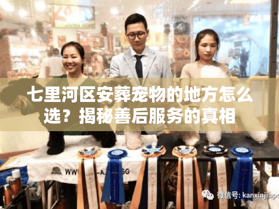 七里河区安葬宠物的地方怎么选？揭秘善后服务的真相