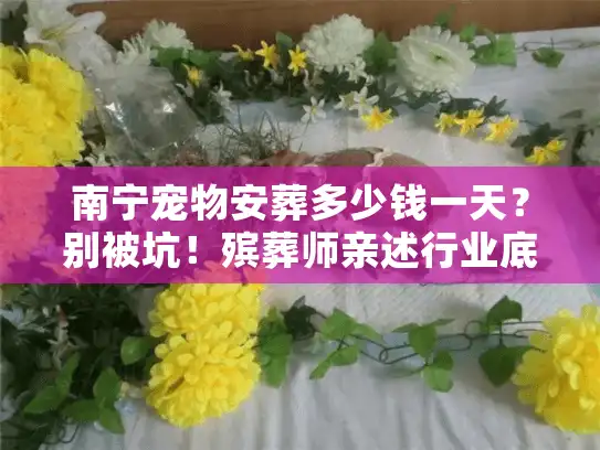 南宁宠物安葬多少钱一天？别被坑！殡葬师亲述行业底价
