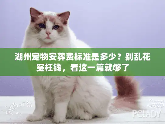 湖州宠物安葬费标准是多少？别乱花冤枉钱，看这一篇就够了
