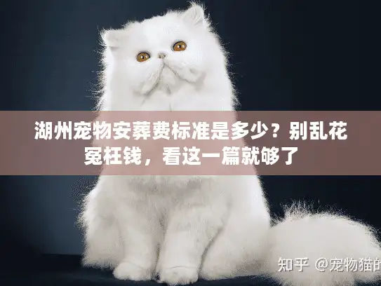 湖州宠物安葬费标准是多少？别乱花冤枉钱，看这一篇就够了