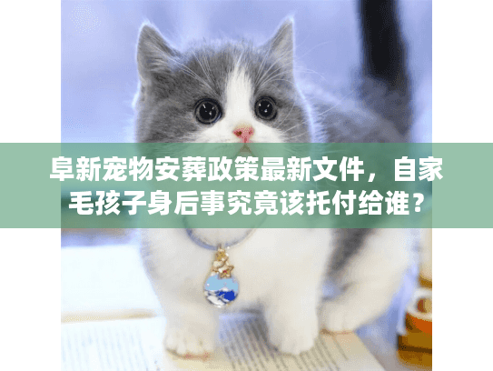 阜新宠物安葬政策最新文件，自家毛孩子身后事究竟该托付给谁？