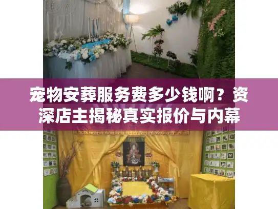 宠物安葬服务费多少钱啊？资深店主揭秘真实报价与内幕