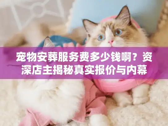 宠物安葬服务费多少钱啊？资深店主揭秘真实报价与内幕