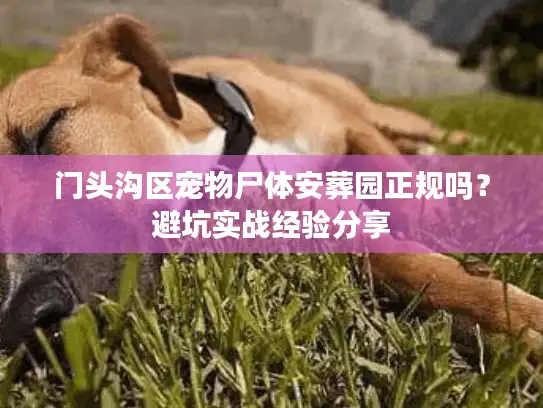 门头沟区宠物尸体安葬园正规吗？避坑实战经验分享