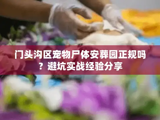 门头沟区宠物尸体安葬园正规吗？避坑实战经验分享
