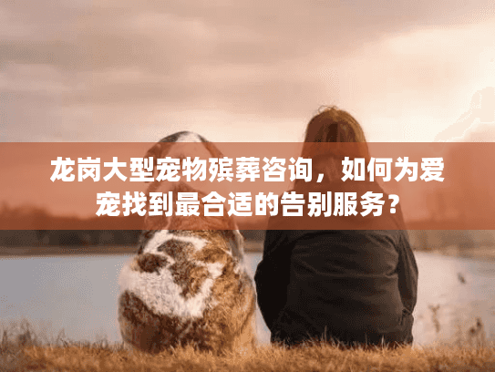 龙岗大型宠物殡葬咨询，如何为爱宠找到最合适的告别服务？