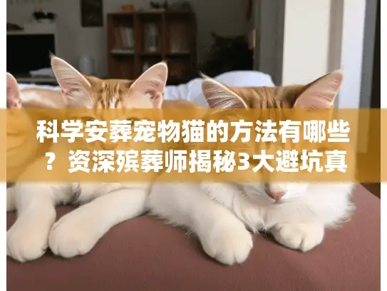 科学安葬宠物猫的方法有哪些？资深殡葬师揭秘3大避坑真相