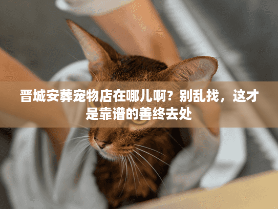 晋城安葬宠物店在哪儿啊？别乱找，这才是靠谱的善终去处