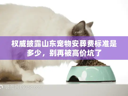 权威披露山东宠物安葬费标准是多少，别再被高价坑了